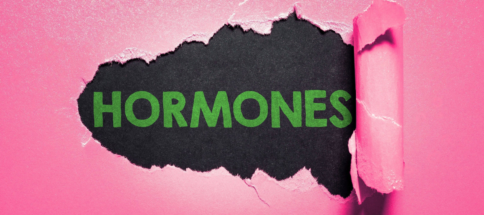 Hormones and Our Bones