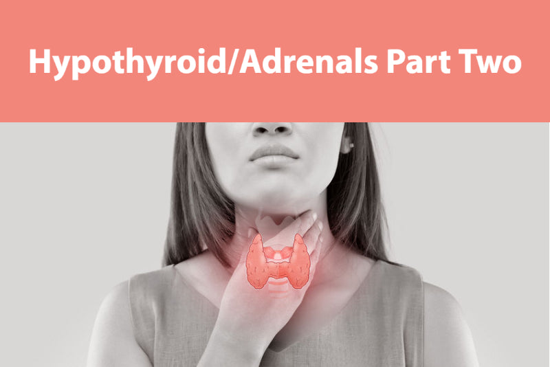 Hypothyroidism and Adrenal Function, Part 2