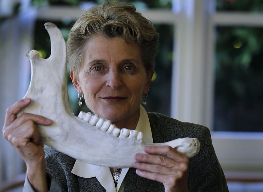 Chiropractor offers hope, treats osteoporosis