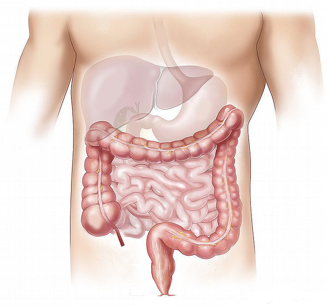 Colonoscopy - Tips you need to know