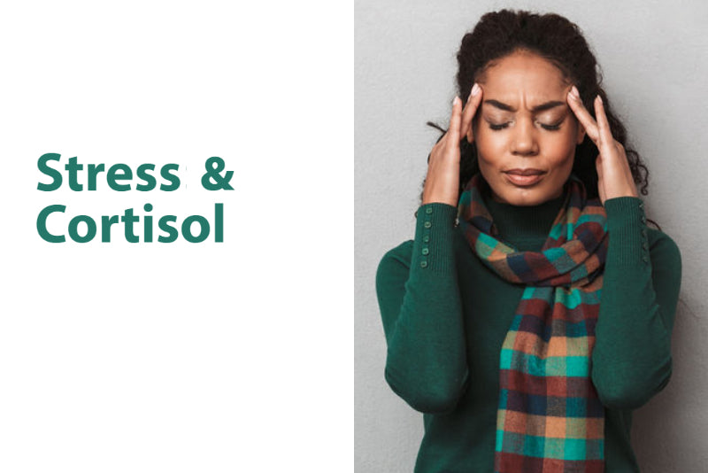 Stress: Cortisol and Effects on Bone